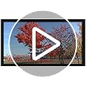 Medog 8.5x11 Picture Frame in Black,Document Certificate Frames, Display Pictures 8.5x11 Picture Frame, 1 Pack