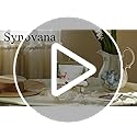 Synovana Gold Alloy Picture Frame – 4x6 Picture Frame with Bow Accent, Golden Picture Frames for Wedding, Anniversary, Tab...