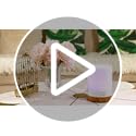 ASAKUKI Essential Oil Diffuser for Home, 300 ml Humidifier with Automatic Shut-Off, Quiet Aromatherapy Diffuser with 7 LED...