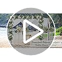 Dremisland Artificial Flowers Garlands 2 Pack 12Ft Artificial Eucalyptus Garland with Dahlia Flower Hanging Flowers Vines ...
