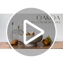 OAKOA Concrete Fruit Bowl for Kitchen Counter - Large Decorative Bowls for Home Decor - Modern Key Bowl for Entryway Table...