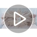 36-38" Large Pampas Grass Wall Decor, DIY Artificial Roses & Natural Dried Boho Hanging Flowers for Wall, Mirror, Wedding ...