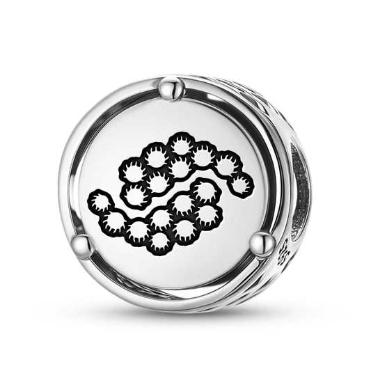 925 Sterling Silver Flowers Goldenrod Charms For Bracelets & Necklaces Pendants Beads Jewelry Fit Pan Bracelet Charm Ethnic Cultural Symbols Gifts For Women