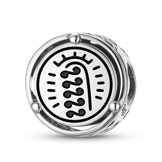 925 Sterling Silver Anthroposophy Cancer Seal Charms For Bracelets & Necklaces Pendants Beads Jewelry Fit Pan Bracelet Charm Ethnic Cultural Symbols Gifts For Women