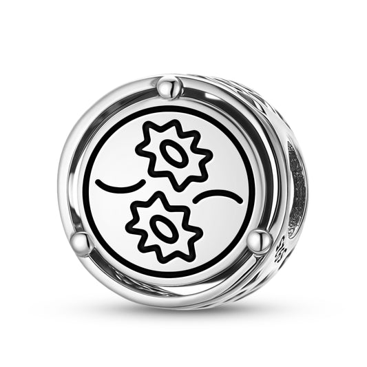 925 Sterling Silver Anthroposophy Pisces Seal Charms For Bracelets & Necklaces Pendants Beads Jewelry Fit Pan Bracelet Charm Ethnic Cultural Symbols Gifts For Women
