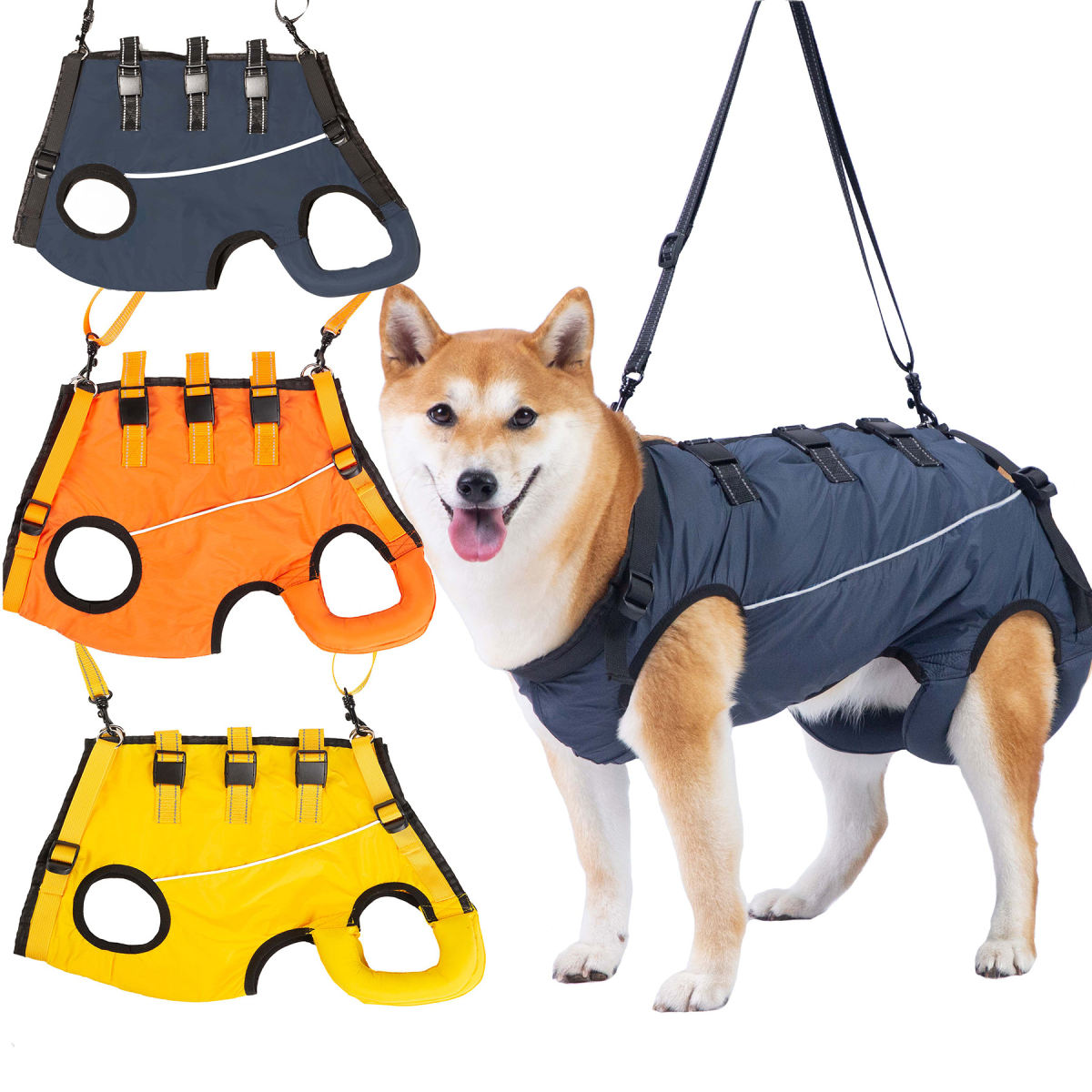 Pet-assisted Clothing For Senior Dogs