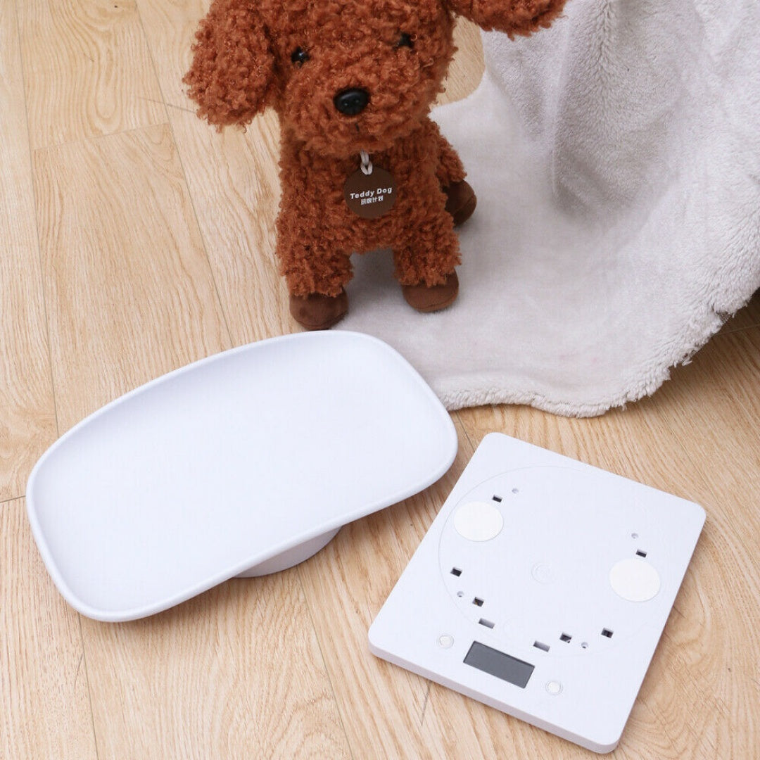 New Electronic LCD Digital Cat Puppy Small Pet Weighing Scales Animal Scale 10kg 1g UK
