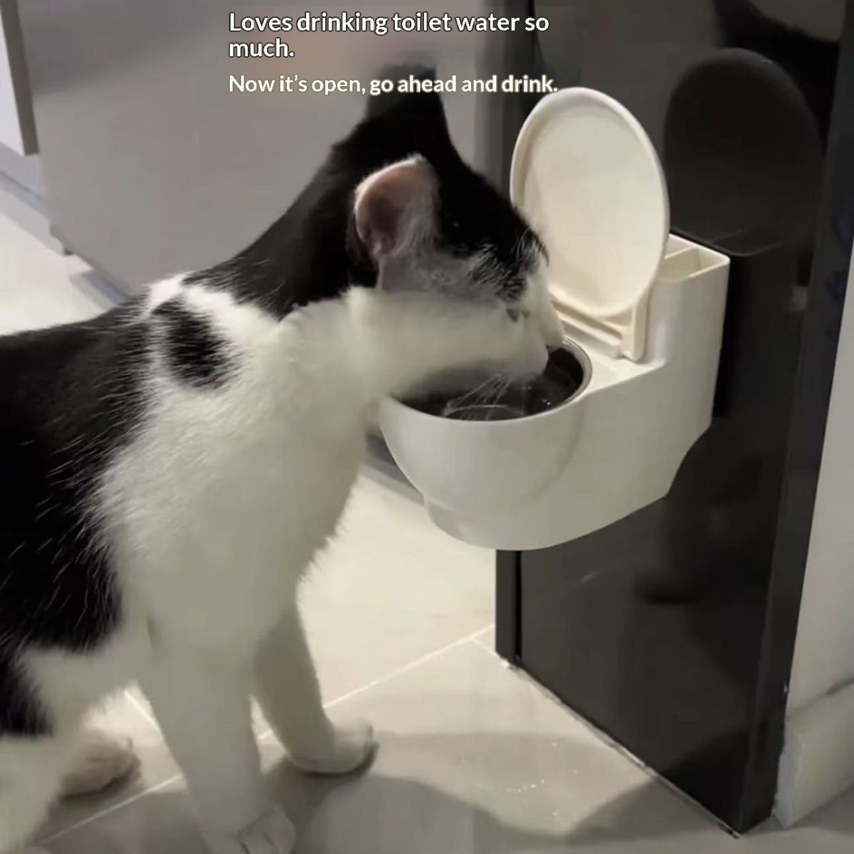 Pet Creative Toilet Water Dispenser