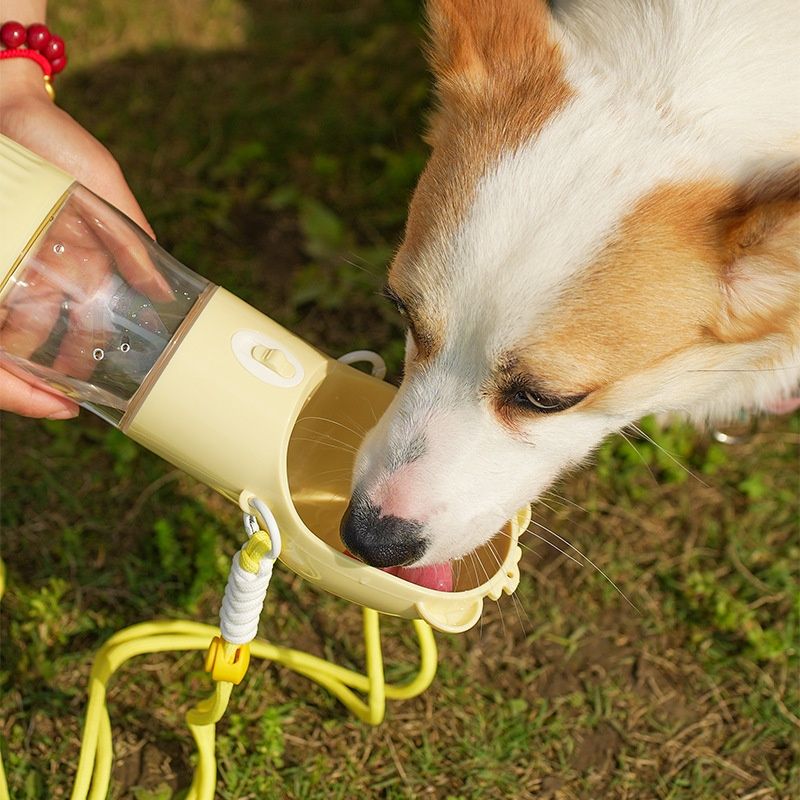 Pet Water Cup Portable Water Bottle Outdoor Dog Drinking Fountain, Feeding And Storage Bowl
