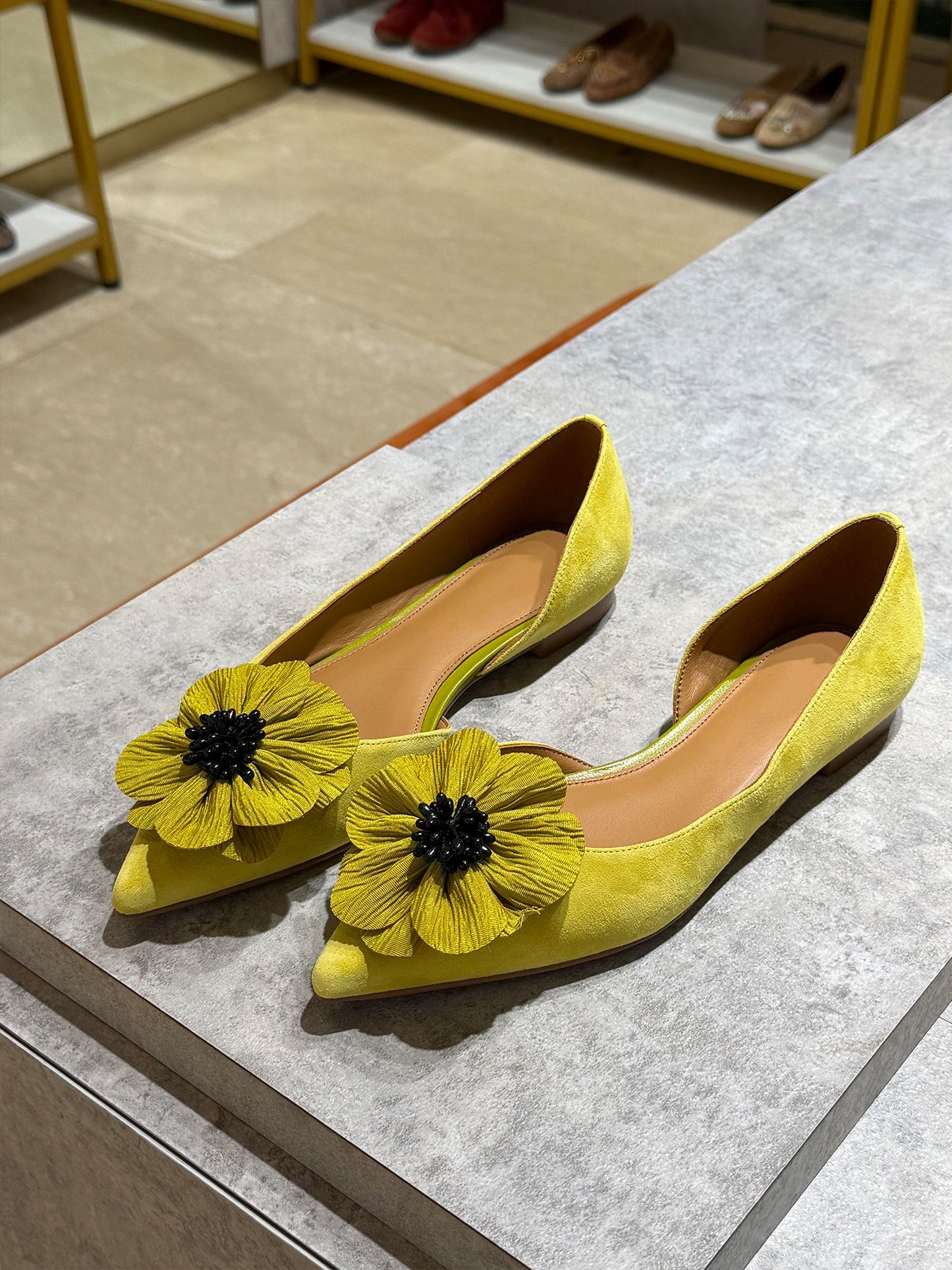 2026 New Women's Niche Floral Mary Jane Shoes, Versatile Soft Upper Pointed Toe Low Cut Fashion Flats