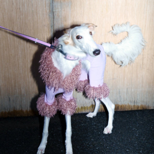 Dog Clothes Four Legged Pet Powder Noblewoman Winter New Year