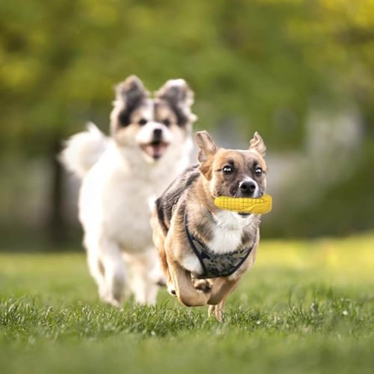 Dog Chew Toys For Aggressive Chewers Idestructible Tough Durable Squeaky Interactive Dog Toys Durable Dog Teeth Cleaning Toy For Medium Large Breeds Corn Stick Toy