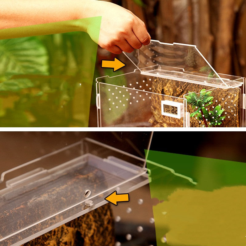 Turtle Snake Transparent Feeding Box