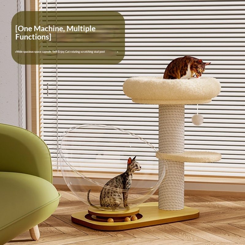 Cat Teaser Turntable Pet Supplies All-in-one