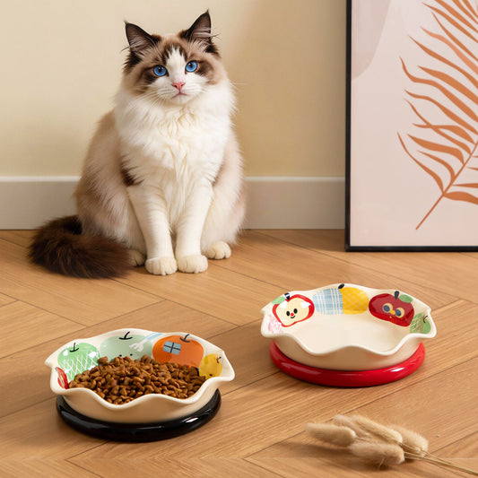 Cartoon Ceramic Pet Bowl