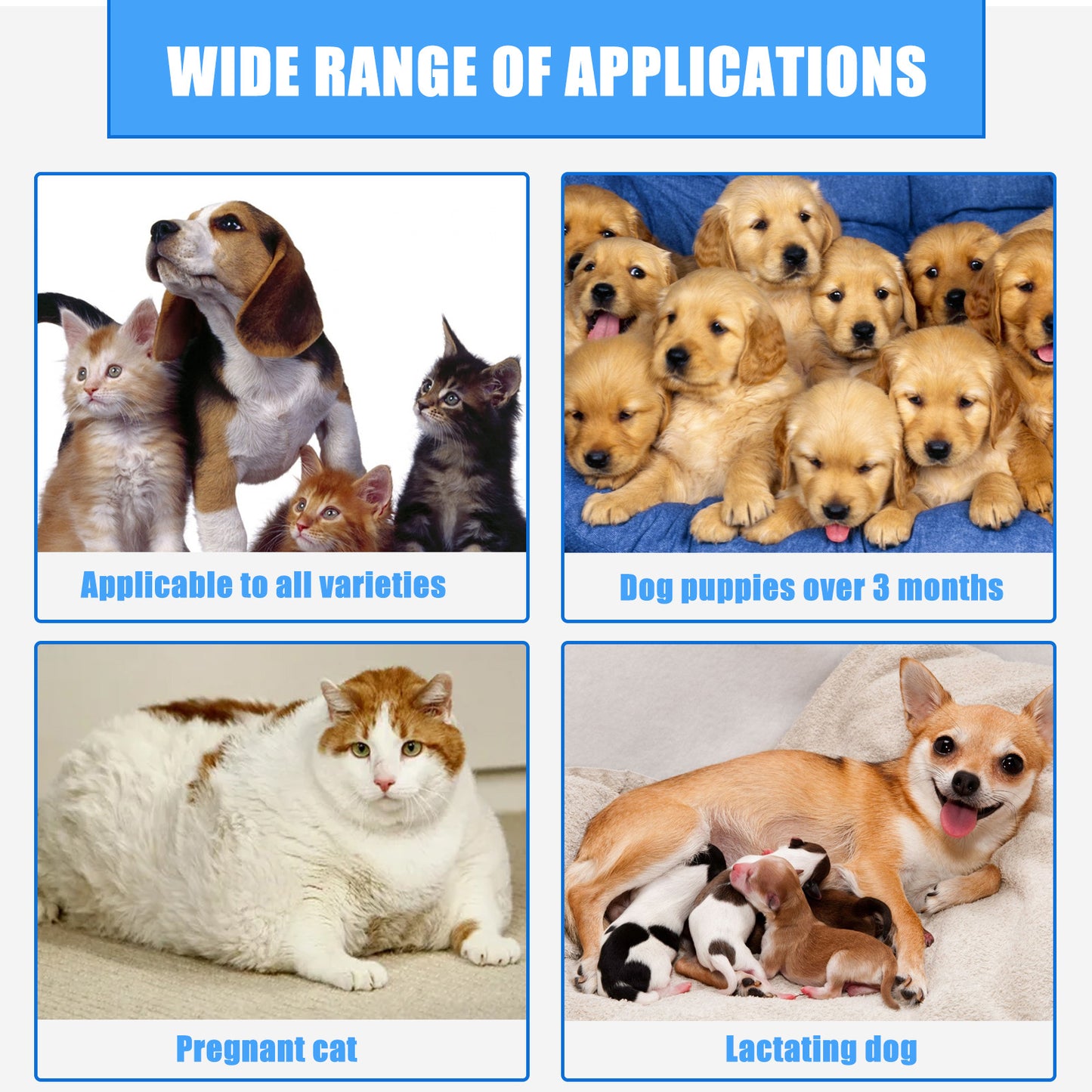 Natural Pet Wound Spray For Cats Dogs Skin Care Cuts Anti Itch Allergies Inflammation Relief