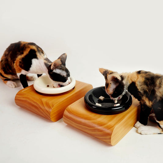 Tip-Proof Raised Pet Bowl With Neck Support