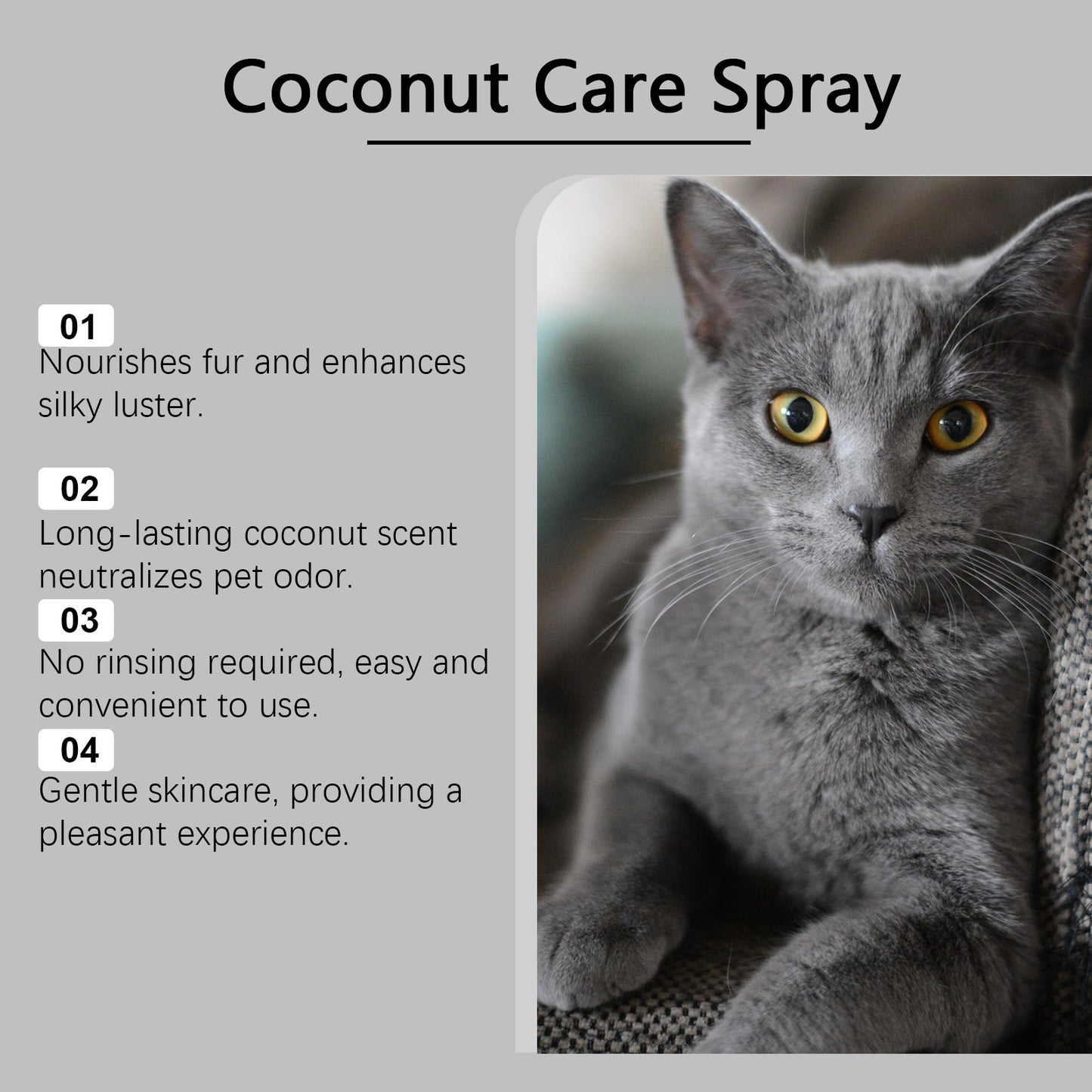 No-rinse Grooming Spray For Dogs That Smooths Softens And Adds Shine To Their Coat