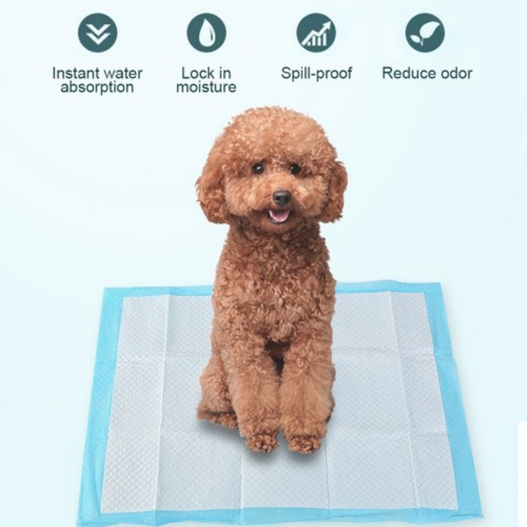 Pet Training Pads Puppy Toilet Potty Mat Indoor Dog Cat Pad 60X60cm Absorbent   Blue-400pcs