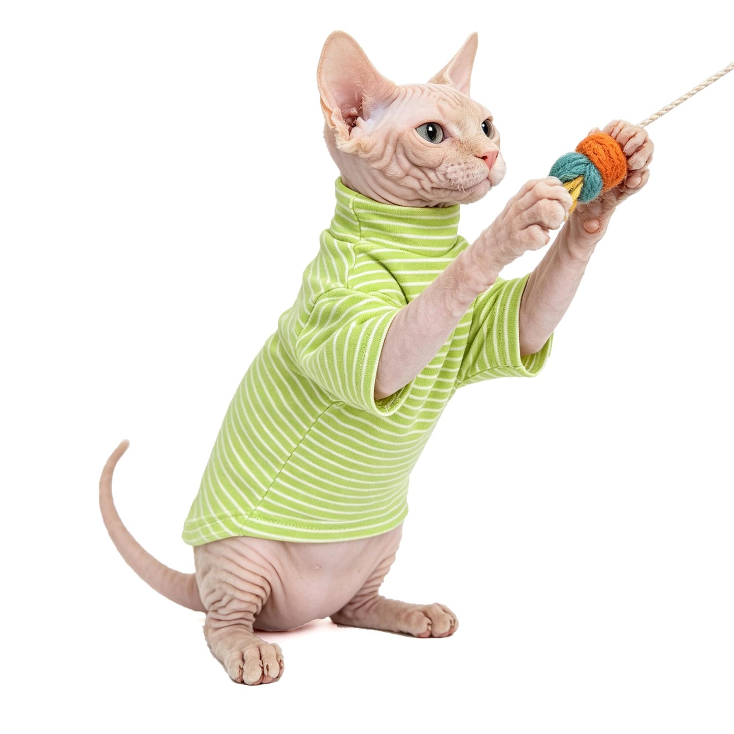 Sphynx Cat Clothes For Cats Only, Narrow Striped Sphynx Shirt Clothes T-Shirts Sweatshirt With Sleeves, Soft Kitten Sphinx Clothes Pet Apparel Devon Rex,Cornish Rex,Peterbald