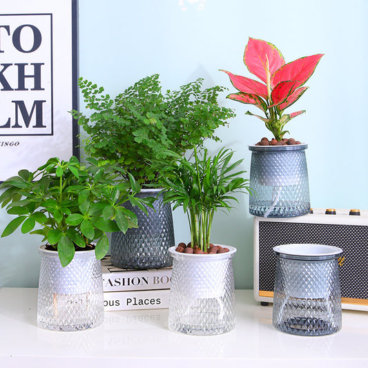 Water-free New Automatic Water Feeding Lazy Basin Light Luxury Plastic Flower Arrangement Hydroponic Flowerpot