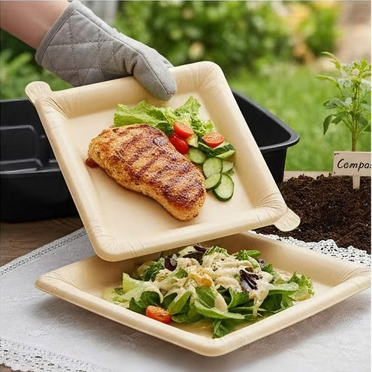Outdoor Diningjust Camping Disposable Heat-resistant Dinner Plates