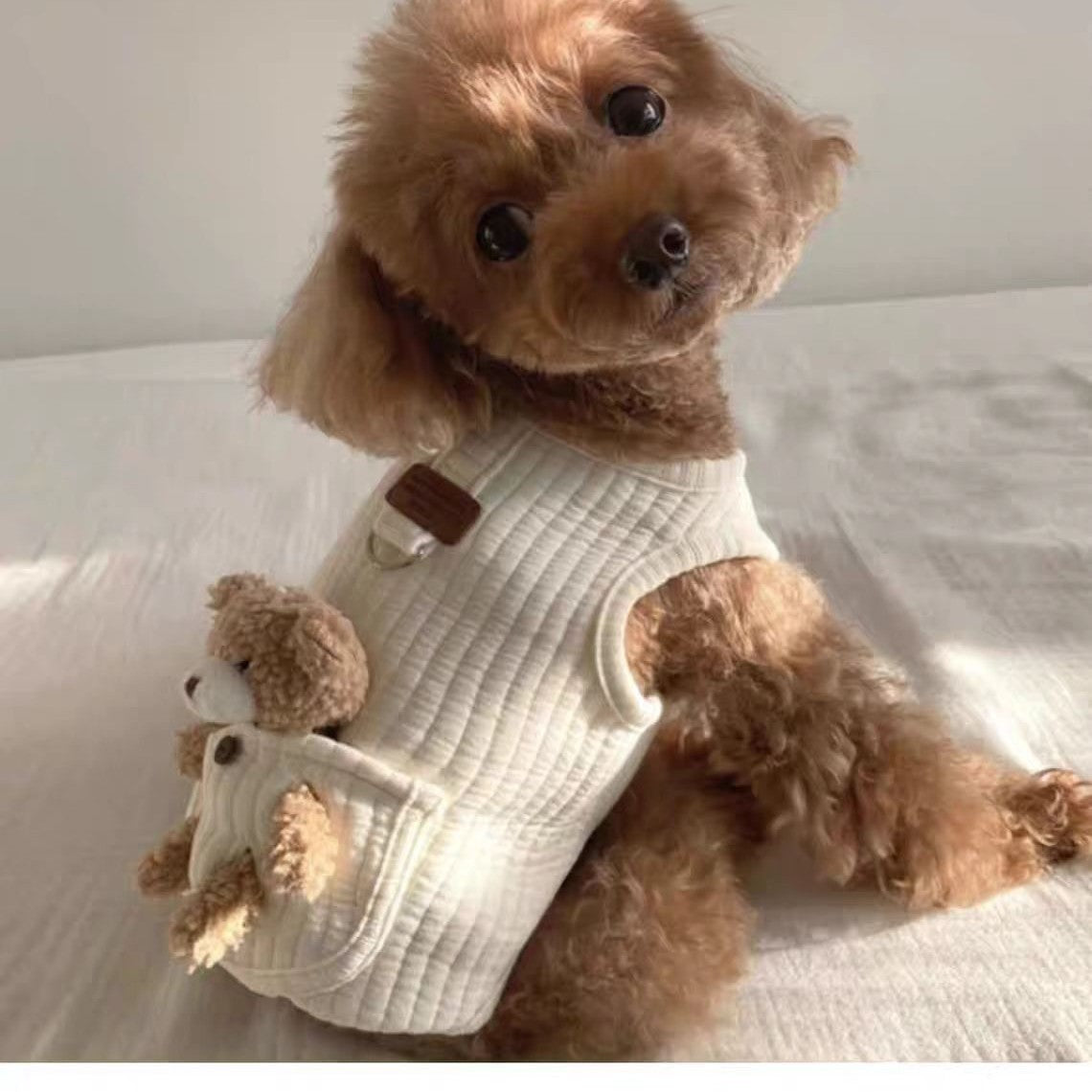Pet Cotton-padded Coat With Leash Function