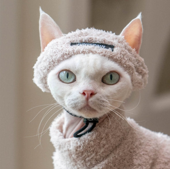 Winter Warm Pet Hat Plush Headwear