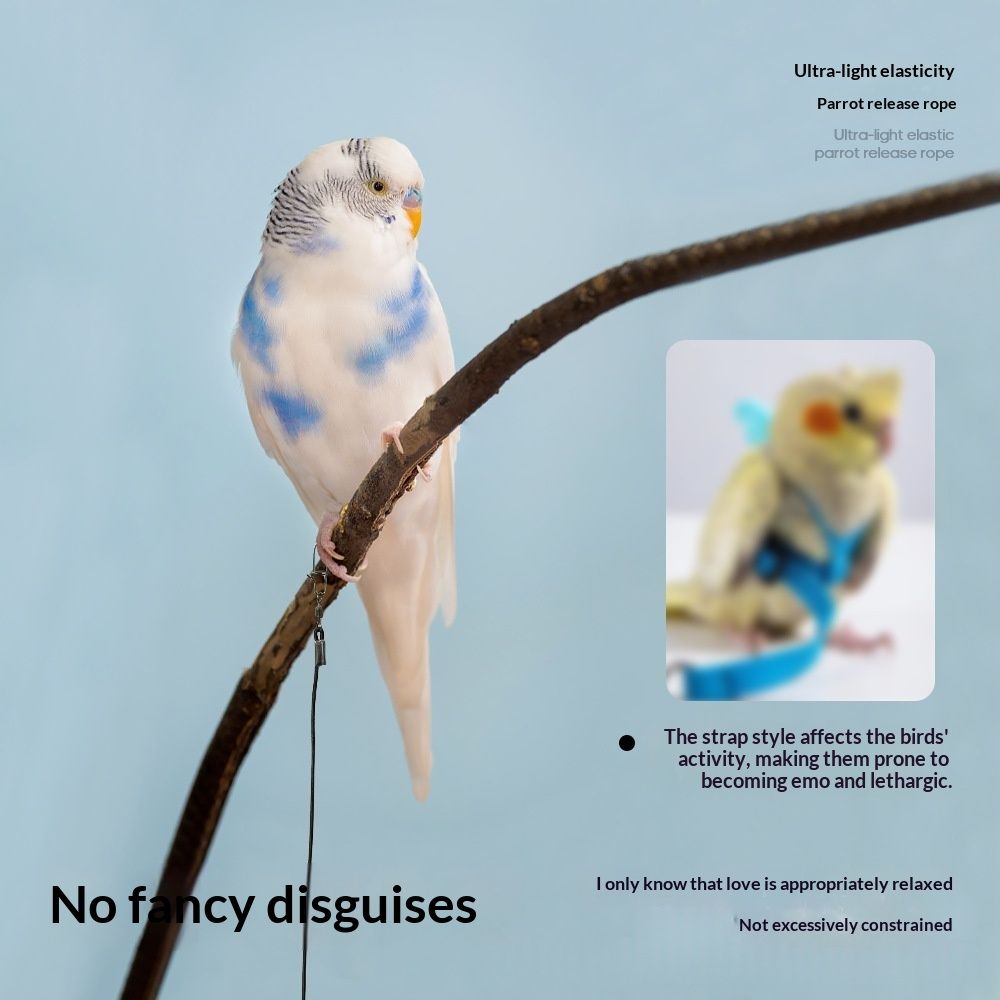 Qingsong Pet Parrot Ultra Lightweight Release Leash With Adjustable Buckle Bird-Walking Essential