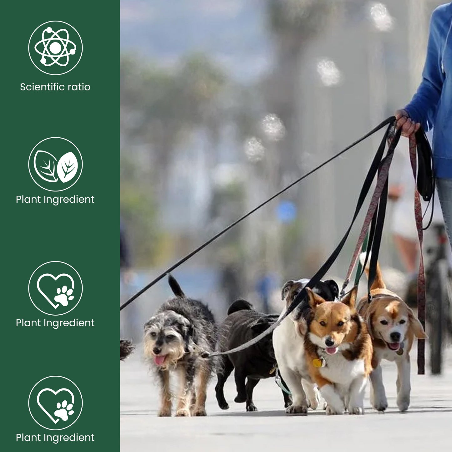 Pet Joint Care Drops Suitable For All Ages