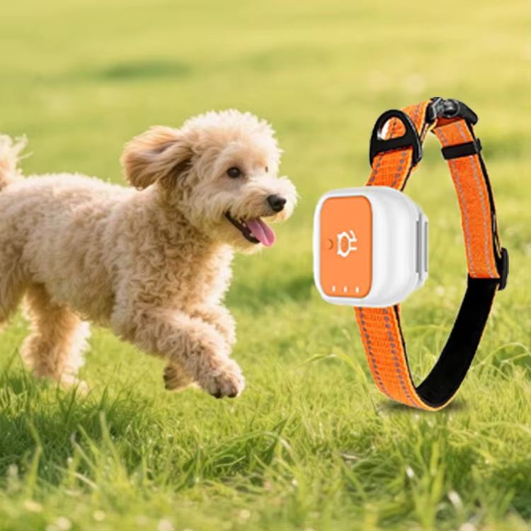 4G GPS Pet Collar Cats And Dogs Realtime GPS Tracking