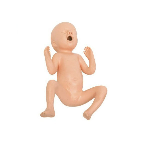 Infant Care Training Nurse Baby Care Model
