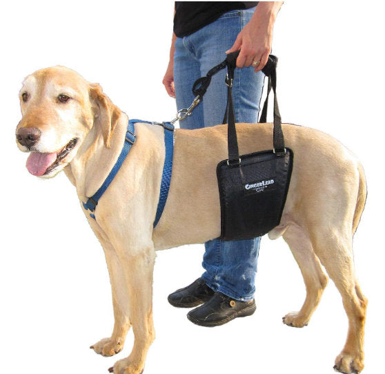 Pet Supplies Auxiliary Clothing