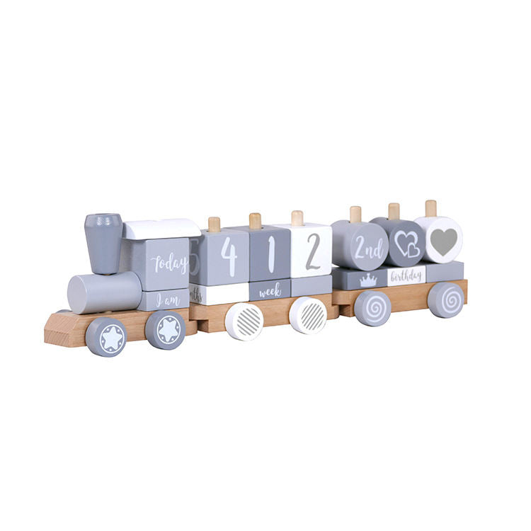 Fashion Small Train Early Education Wooden Toys