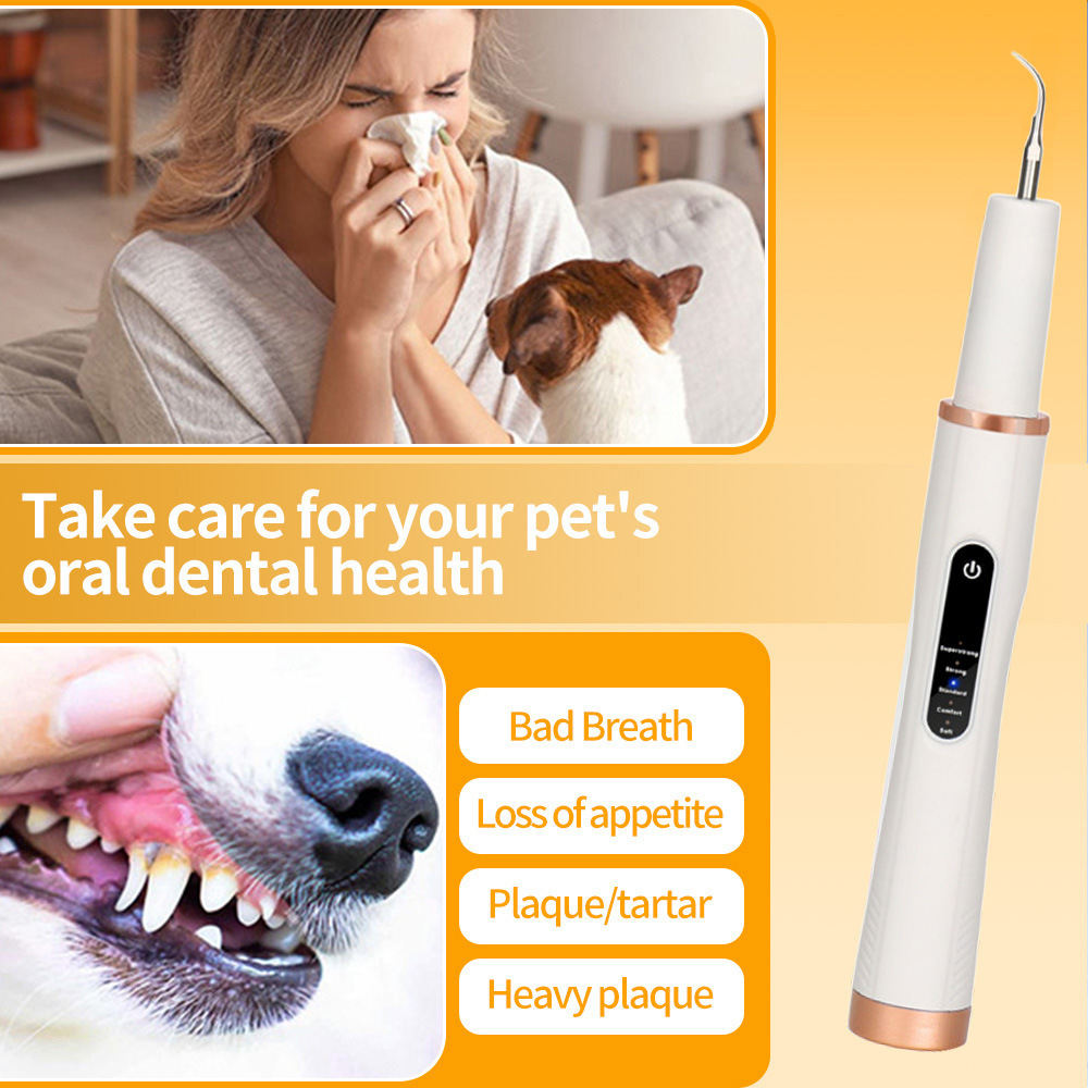 Pet Dog Tartar Remover Dental Tool