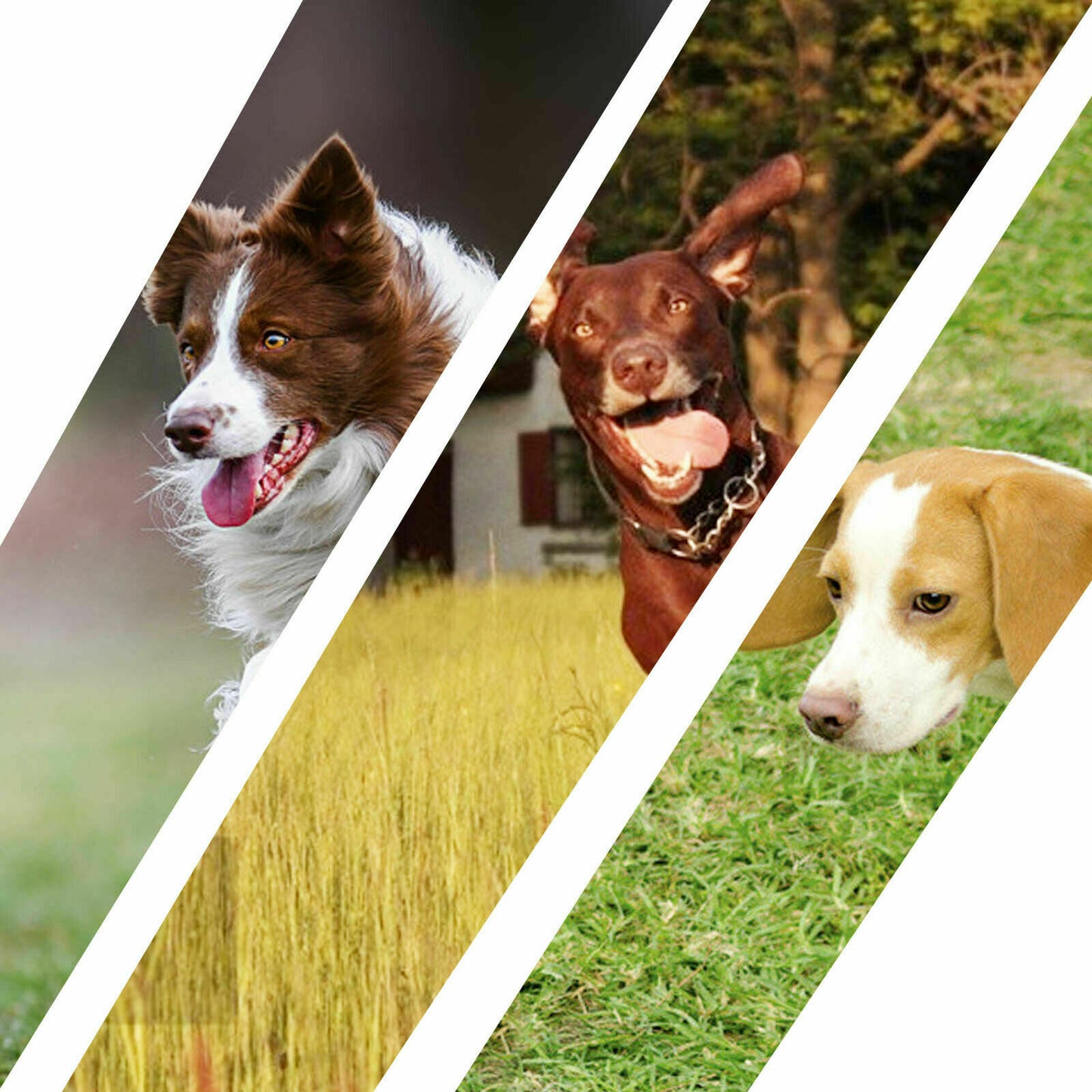 No-pull Dog Harness Pet Puppy Large Dog Vest Adjustable Padded Handle L Size AU,The Color Shipped Is The Same As The Color In The Main Picture.
