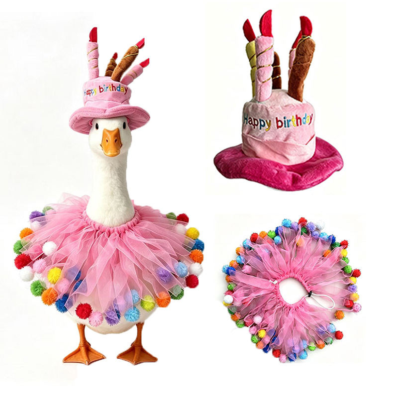 Pet Goose Birthday Hat And Scarf Decor Set
