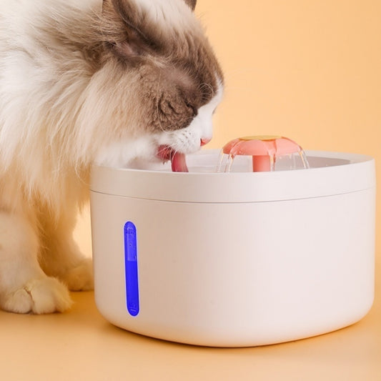Filtered Charging Induction Smart Pet Water Fountain