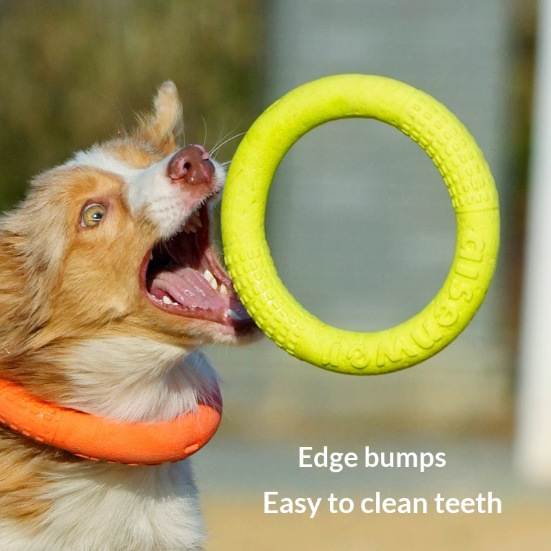 Training-specific TPR Foam Bite-resistant Outdoor Pet Cat Toy