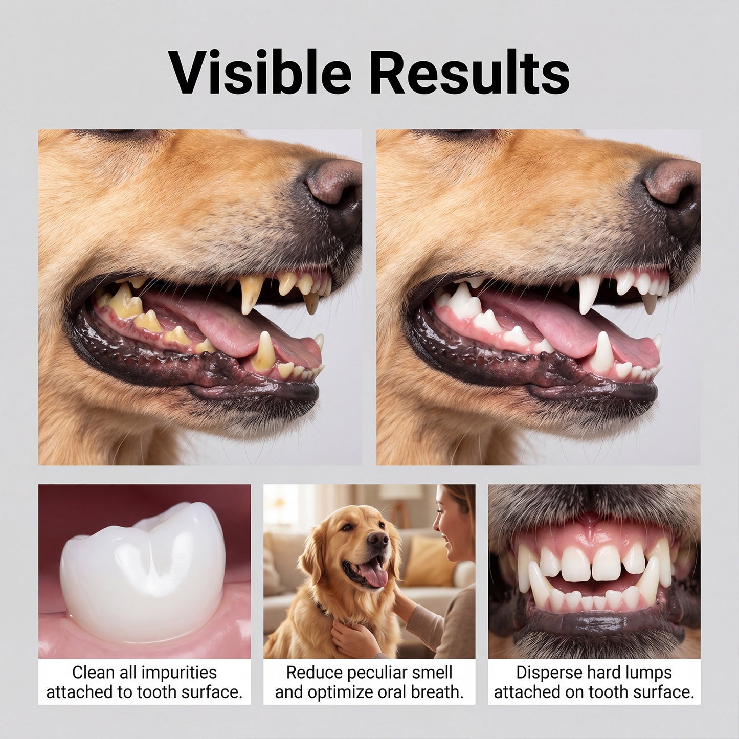 Gentle Pet Toothpaste For Oral Care