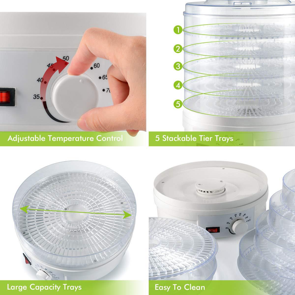 350W Electric Food Dehydrator Fruit Meat Beef Dryer Veg Preserver Machine 5 Tray