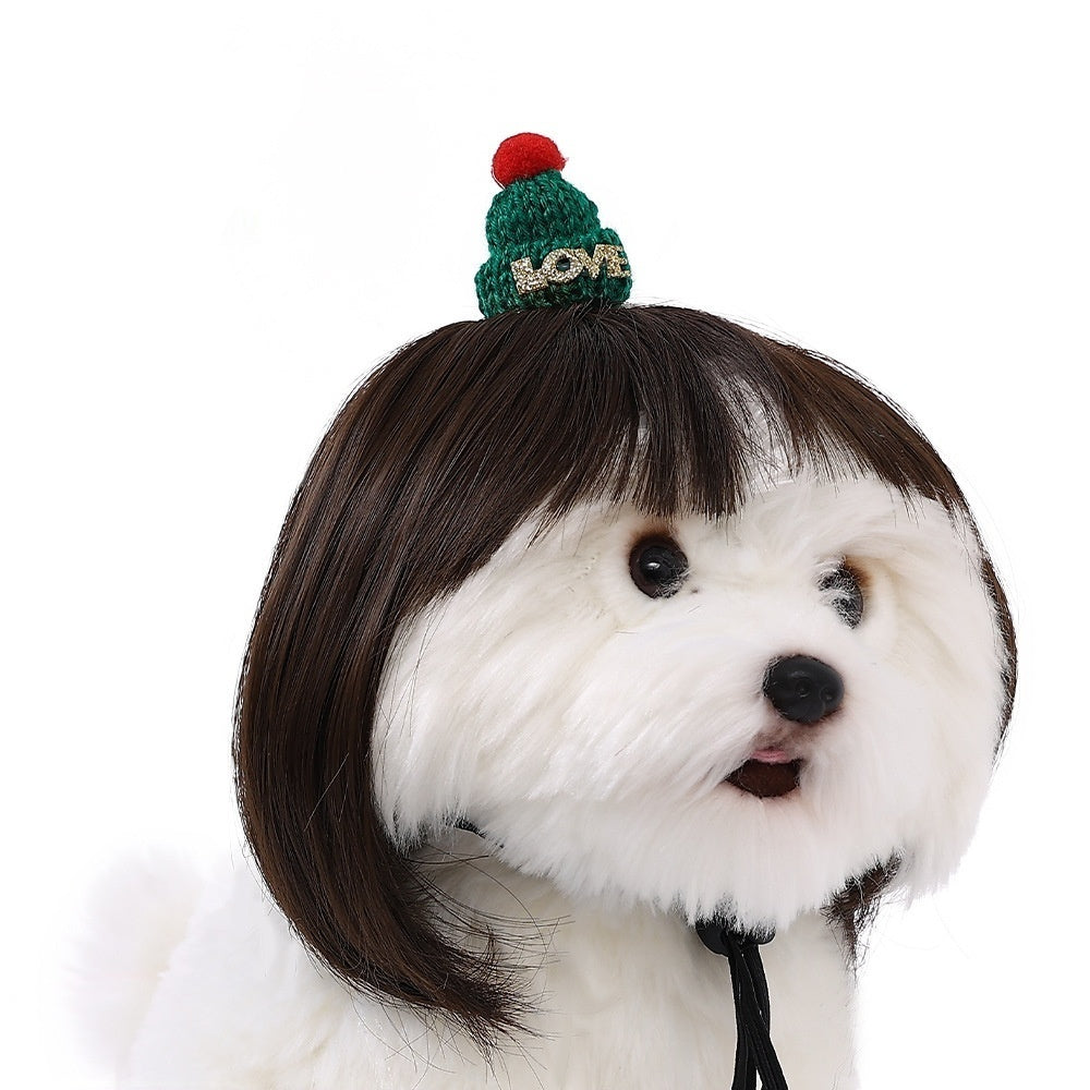 Halloween Pet Wig For Curly Or Straight Hair