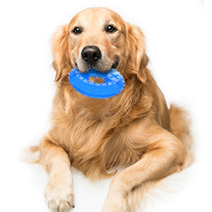Pet Teether Cooling Chew Toy For Dogs Teething Toy For Puppies Fit With Treats For More