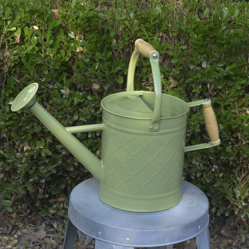 Large Watering Can For Home Gardening Vegetable Growing And Flower Care European And American Style