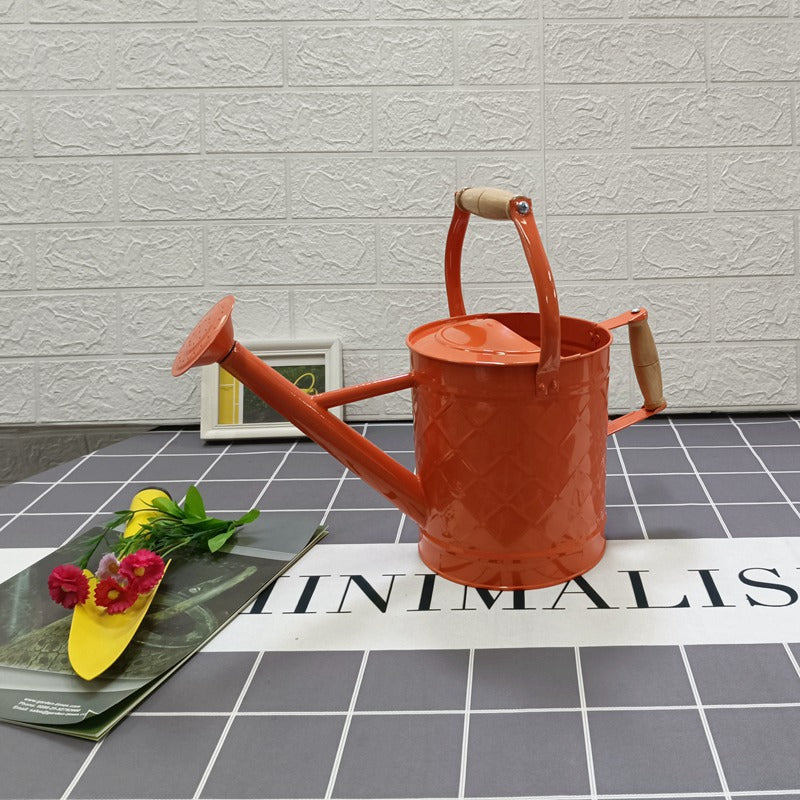 Large Watering Can For Home Gardening Vegetable Growing And Flower Care European And American Style