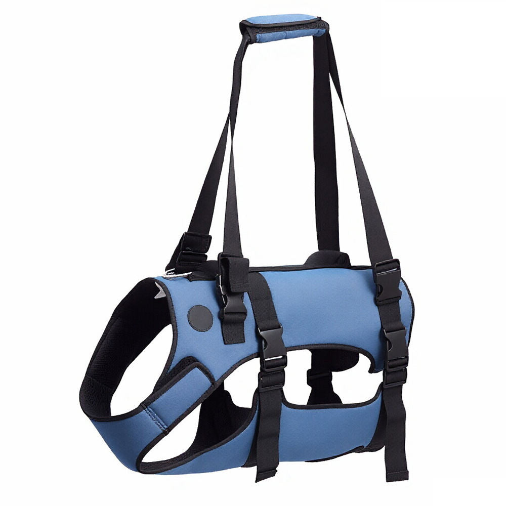 Assistance For A Pet Dog With Weak Legs