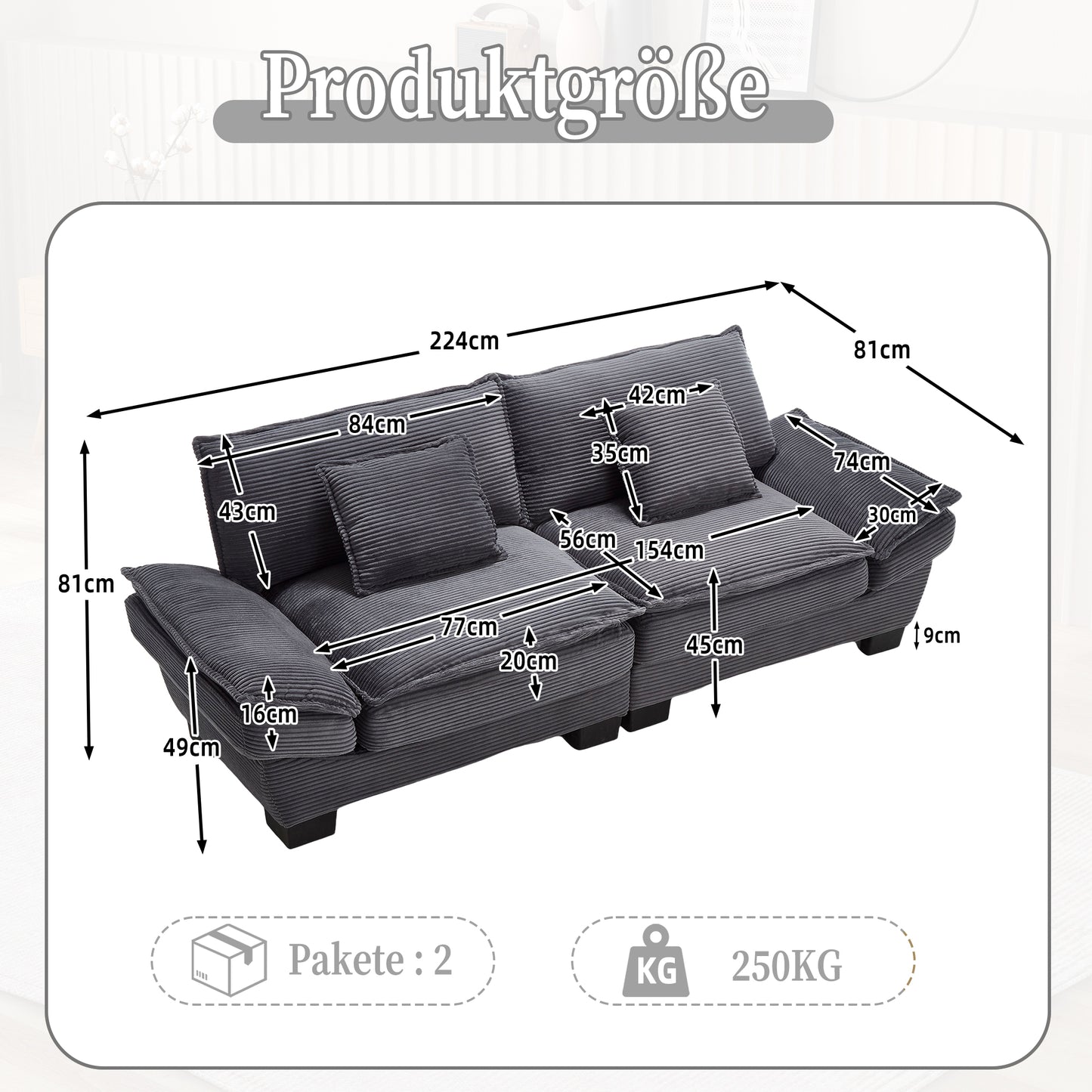 A Modern, Simple Double Sofa With A Feather Bed, Which Reaches A Pillow, Is Cosy, But Spacious And Spacious In The Living Room Bedroom Office, Dark Grey