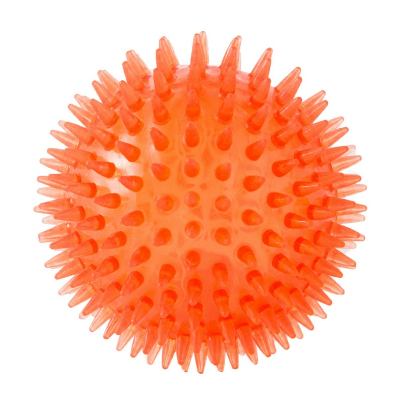 Cross-border Pet Dog Toy Ball
