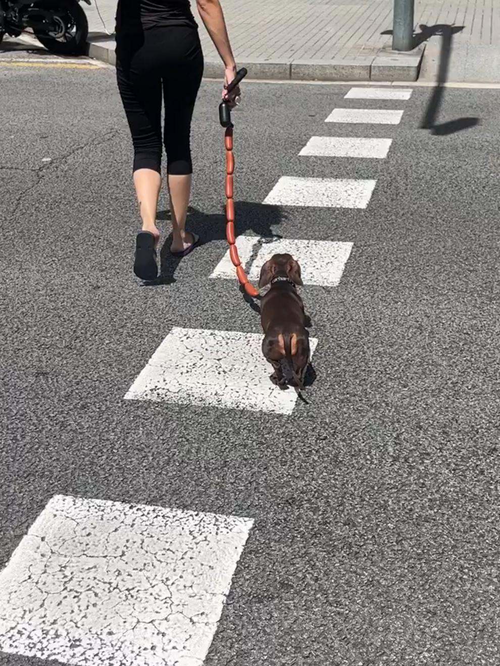 Dog Traction Chain Big Sausages Traction Rope Thick Funny Pet Traction Belt For Small Medium Pet Accessories Dog Leads String