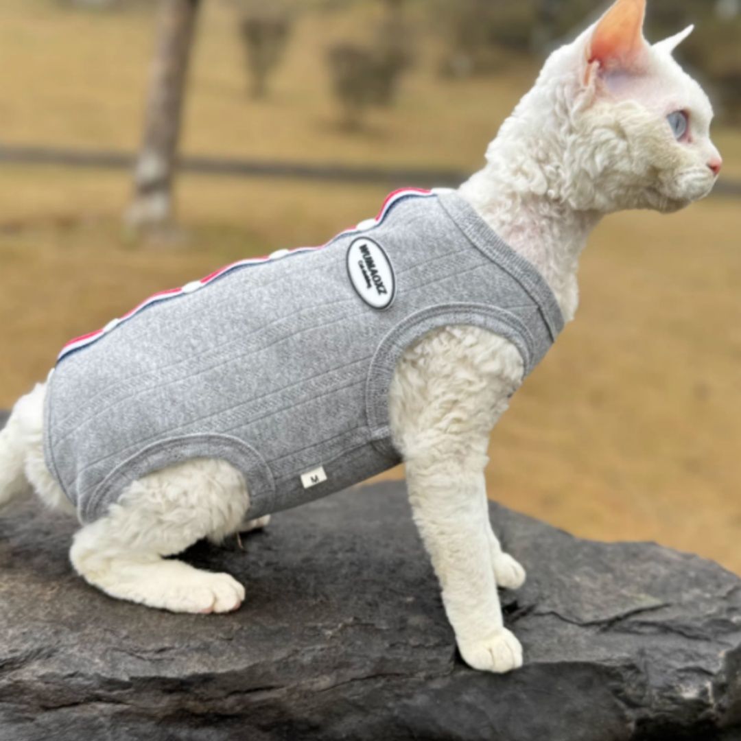 Sphynx Cat Summer Vest Surgical Recovery Suit Clothes Back Buttons